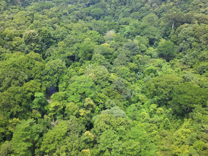 Land For Sale in Ojochal Costa Rica